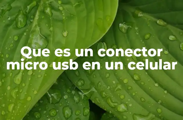 Que es un Conector Micro Usb en un Celular 2 La importancia del conector micro USB en la conectividad de dispositivos móviles