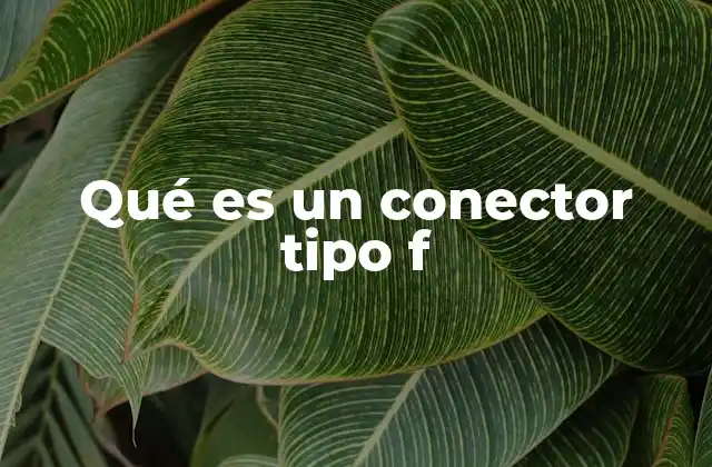 Qué es un Conector Tipo F