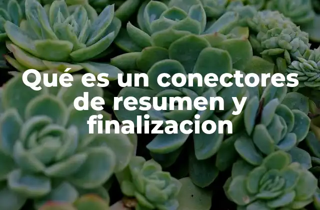 Qué es un Conectores de Resumen y Finalizacion