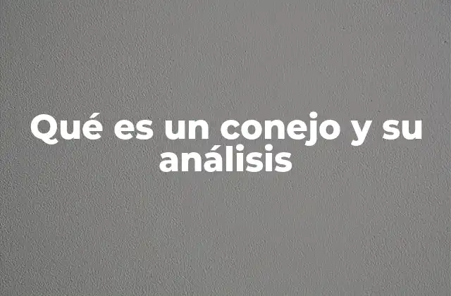 Qué es un Conejo y Su Análisis