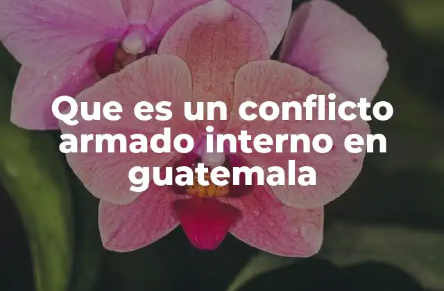 Que es un Conflicto Armado Interno en Guatemala