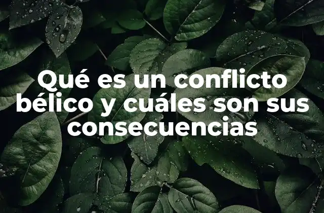 Qué es un Conflicto Bélico y Cuáles Son Sus Consecuencias