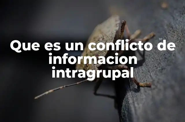 Que es un Conflicto de Informacion Intragrupal
