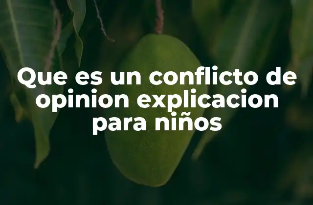Que es un Conflicto de Opinion Explicacion para Niños
