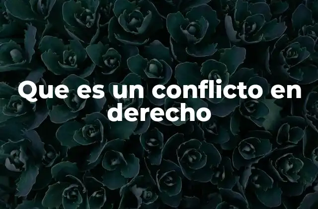 Que es un Conflicto en Derecho