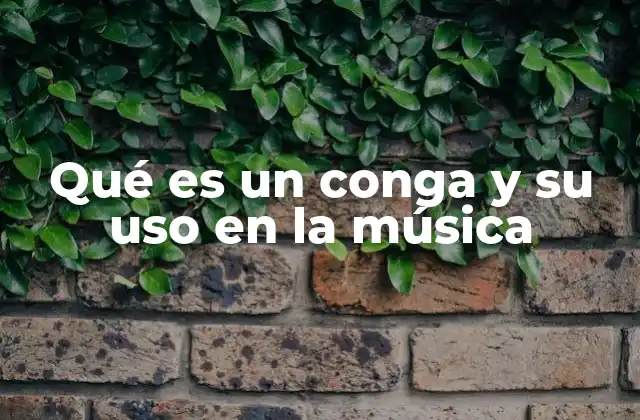 Qué es un Conga y Su Uso en la Música