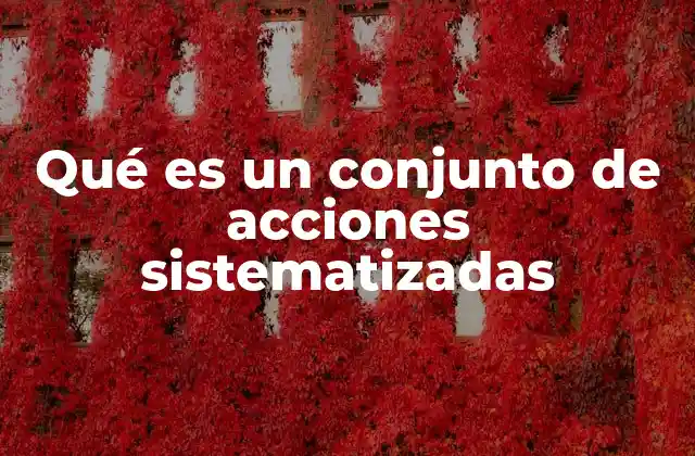 La importancia de estructurar procesos de manera sistemática