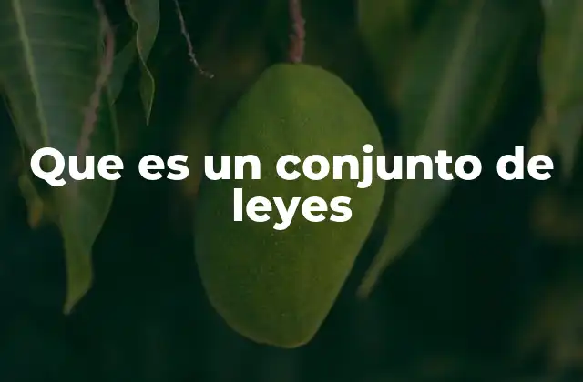 Que es un Conjunto de Leyes