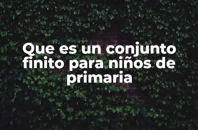 Que es un Conjunto Finito para Niños de Primaria 2 Entendiendo los conjuntos sin usar la palabra clave