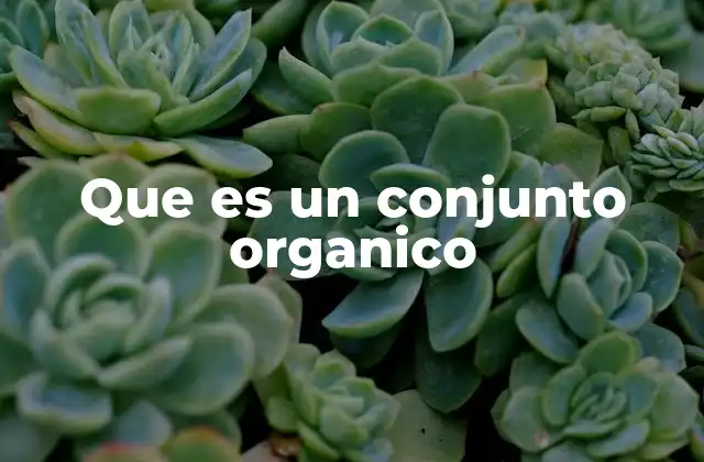 Que es un Conjunto Organico