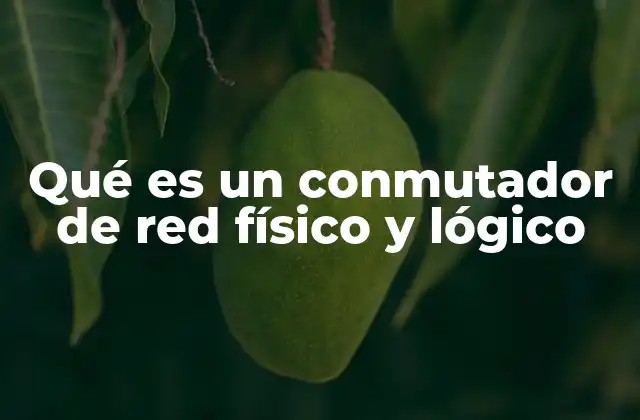 Qué es un Conmutador de Red Físico y Lógico