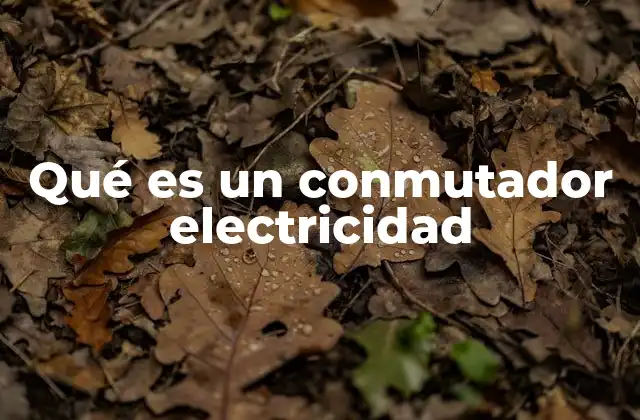 Componentes esenciales de un sistema eléctrico