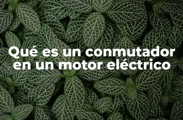Qué es un Conmutador en un Motor Eléctrico