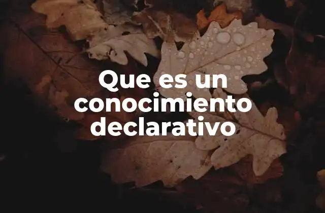 Que es un Conocimiento Declarativo