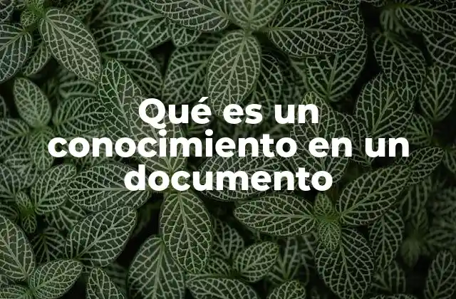 Qué es un Conocimiento en un Documento