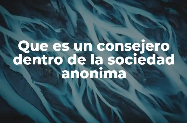 Que es un Consejero Dentro de la Sociedad Anonima