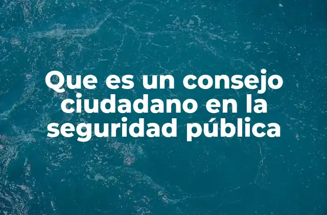 Que es un Consejo Ciudadano en la Seguridad Pública