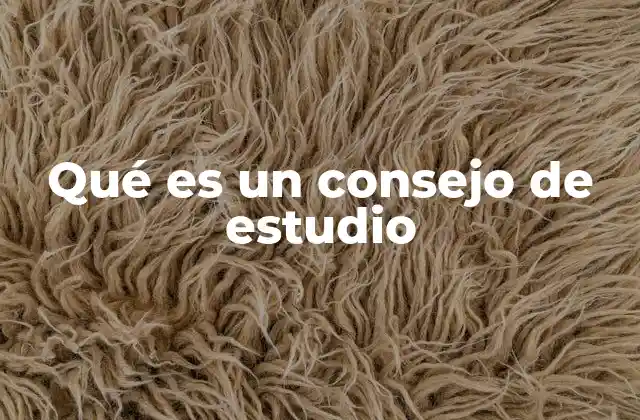 Qué es un Consejo de Estudio