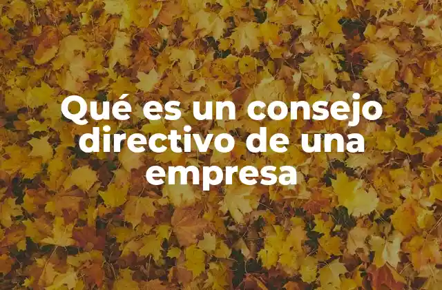 Qué es un Consejo Directivo de una Empresa