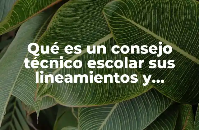 Qué es un Consejo Técnico Escolar Sus Lineamientos y Funciones