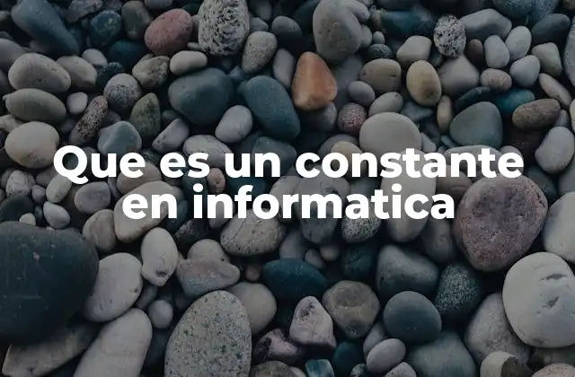 Que es un Constante en Informatica