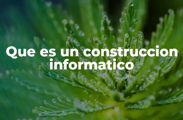Que es un Construccion Informatico