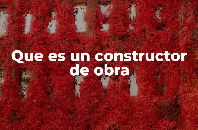Que es un Constructor de Obra