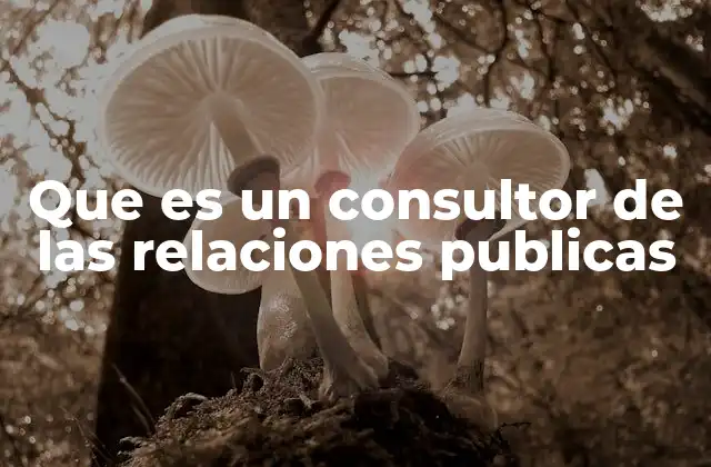 Que es un Consultor de las Relaciones Publicas
