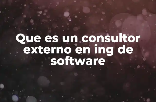 Que es un Consultor Externo en Ing de Software