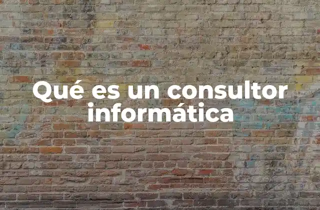 Qué es un Consultor Informática
