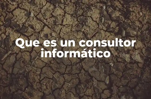 Que es un Consultor Informático