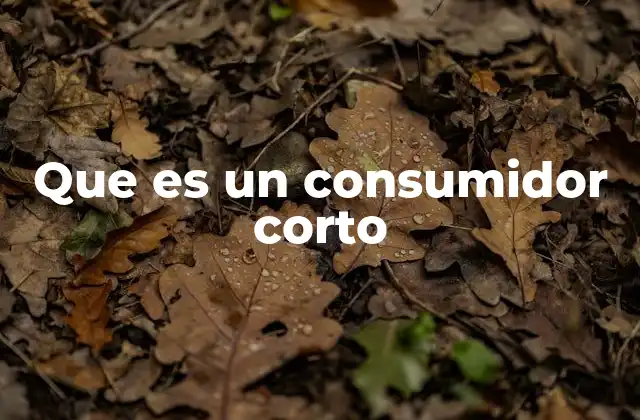 Que es un Consumidor Corto
