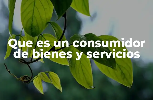 Que es un Consumidor de Bienes y Servicios