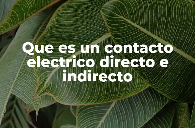 Que es un Contacto Electrico Directo e Indirecto