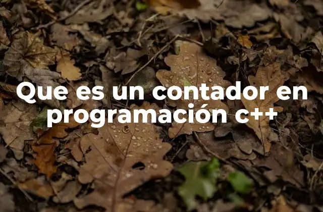 El rol de las variables en la funcionalidad de los contadores