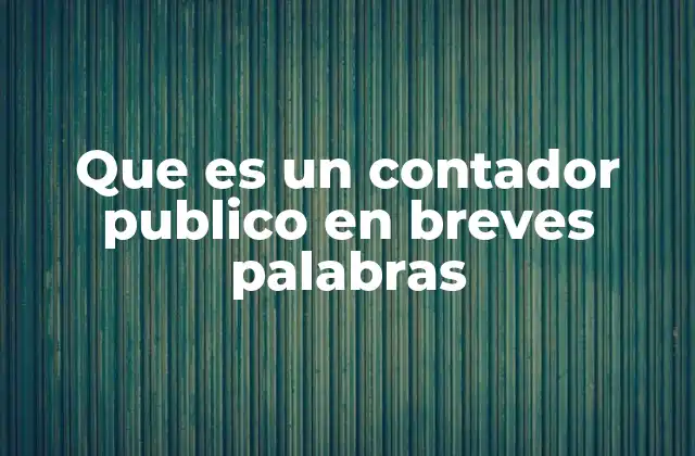 Que es un Contador Publico en Breves Palabras