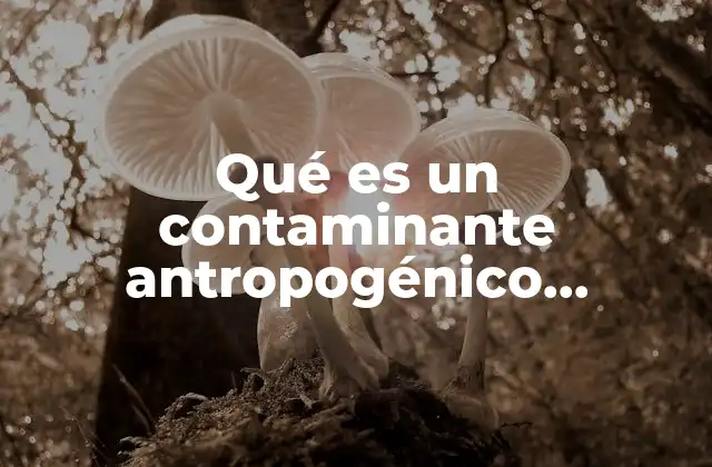 Qué es un Contaminante Antropogénico Primario
