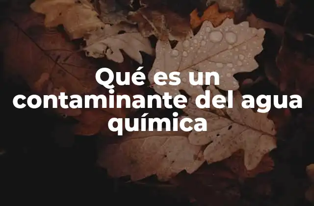 Qué es un Contaminante Del Agua Química