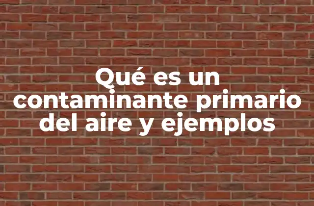 Qué es un Contaminante Primario Del Aire y Ejemplos