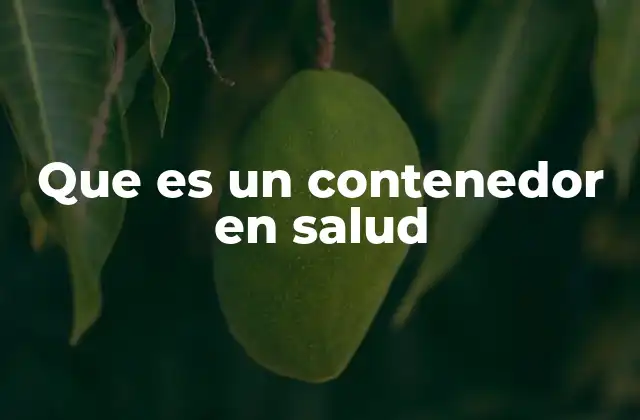 Que es un Contenedor en Salud