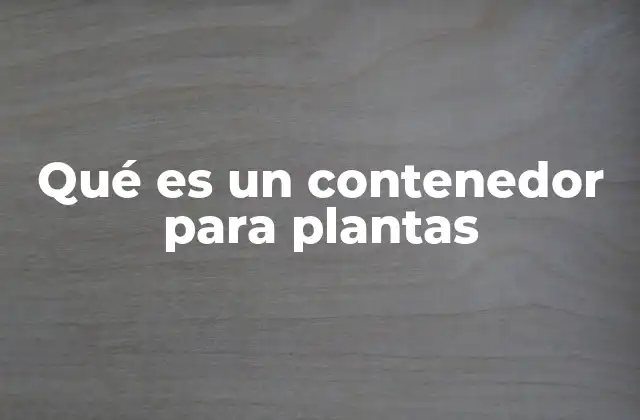 Qué es un Contenedor para Plantas 2 Soluciones creativas para jardinería en espacios reducidos