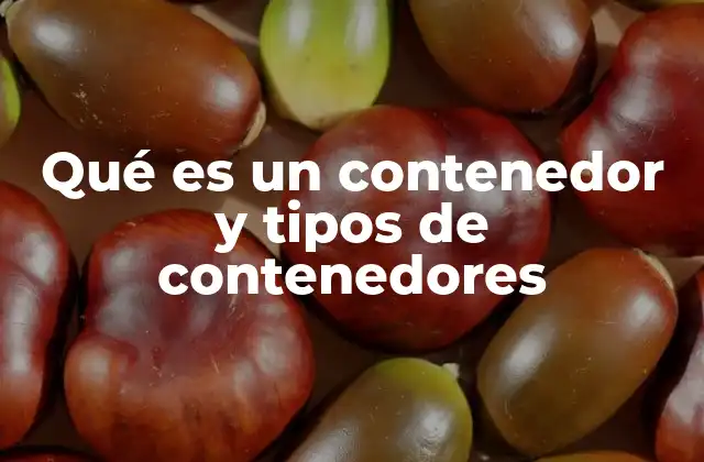 Qué es un Contenedor y Tipos de Contenedores
