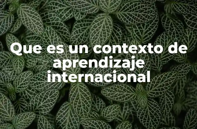 Que es un Contexto de Aprendizaje Internacional