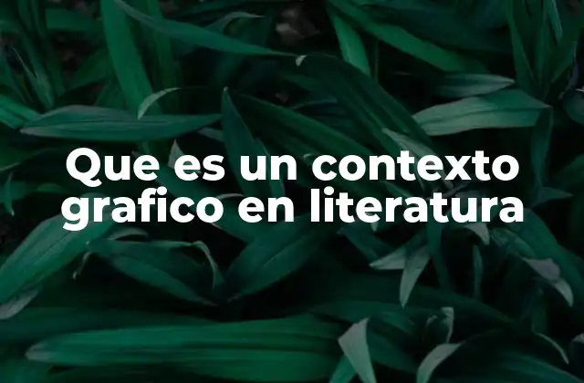Que es un Contexto Grafico en Literatura