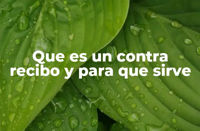 Que es un contra Recibo y para que Sirve