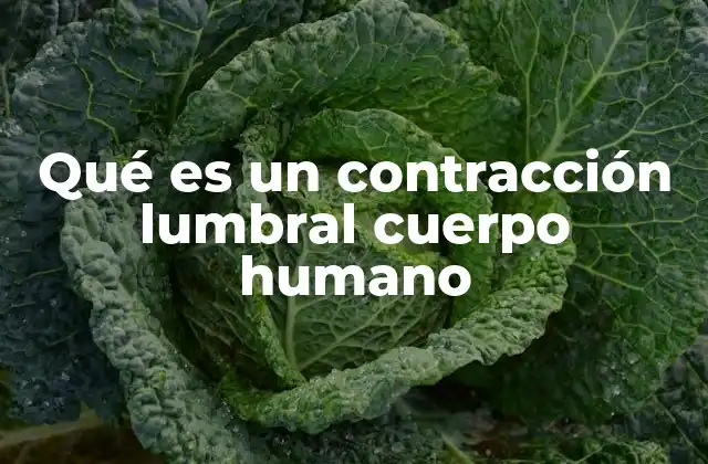 Qué es un Contracción Lumbral Cuerpo Humano