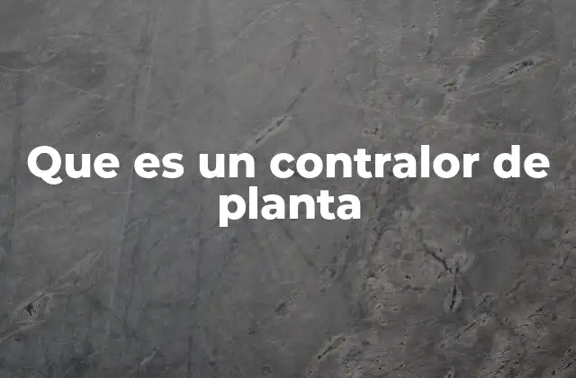 El papel del control en la operación de una planta industrial