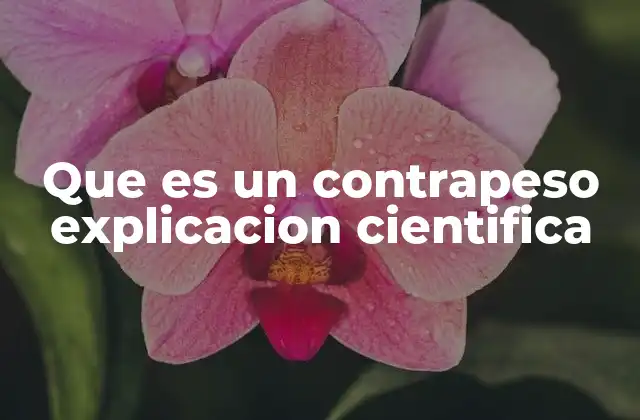 Que es un Contrapeso Explicacion Cientifica