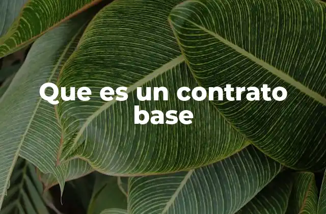 Que es un Contrato Base