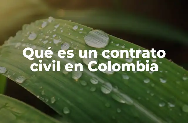 Qué es un Contrato Civil en Colombia